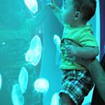 Joaquín’s First Trip To An Aquarium (Part 2)