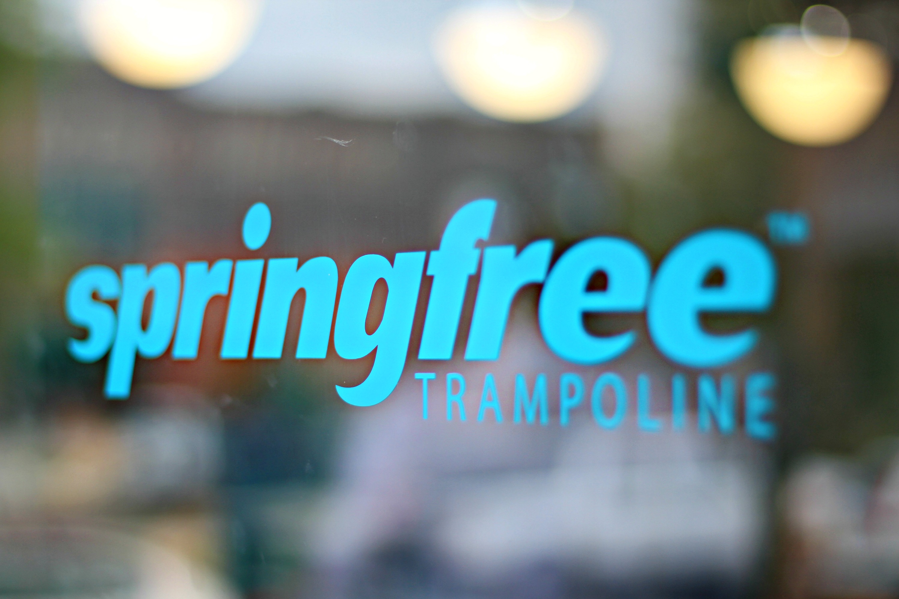 SpringFree Trampoline