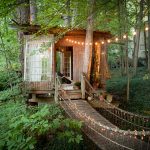 The World’s Best Tree House Hotels
