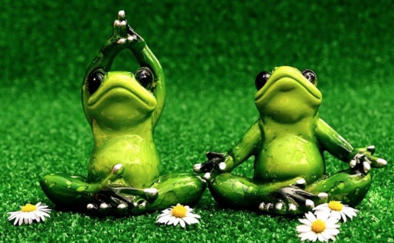 Yoga Frogs