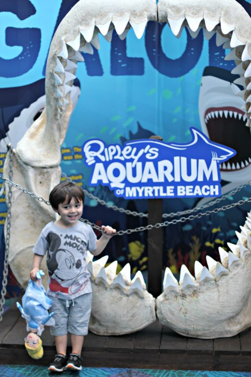 Ripley's Aquarium of Myrtle Beach - IMG 5956 E1526830124373