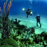 Diving in the Islands of Malta and Gozo