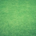 Landscaping Tips from the Lawn Care Pros