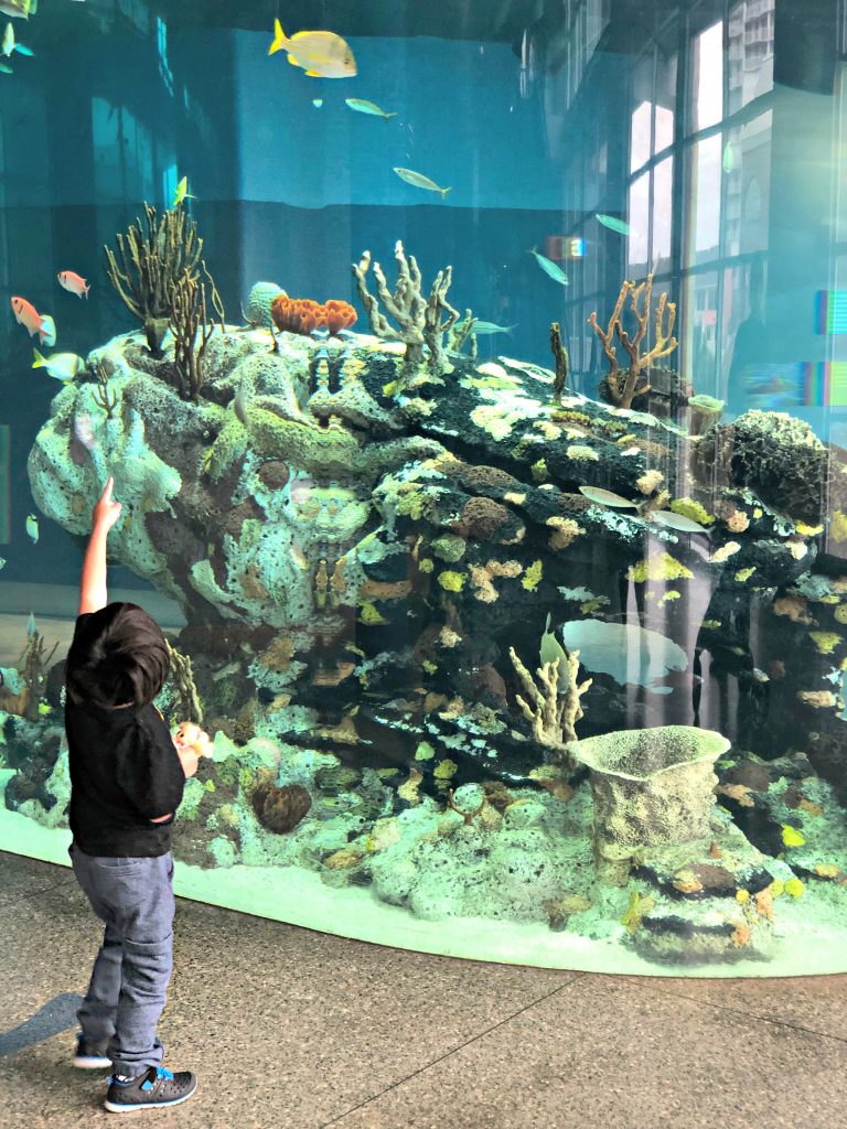 South Carolina Aquarium