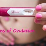 What you should know about ovulation, symptoms, and implantation