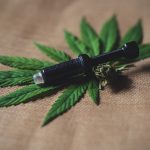 Cannabidiol Extracts Quickly Gaining Popularity