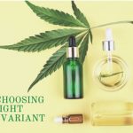 Tips For Choosing The Right Cannabis Variant From Reliable Sellers