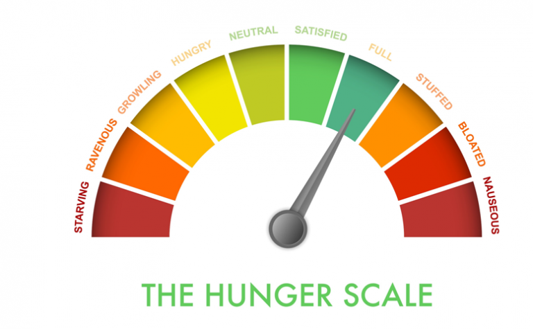 Scale | My Beautiful Adventures