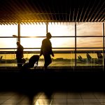 Five Benefits Of A Private Airport Transfer