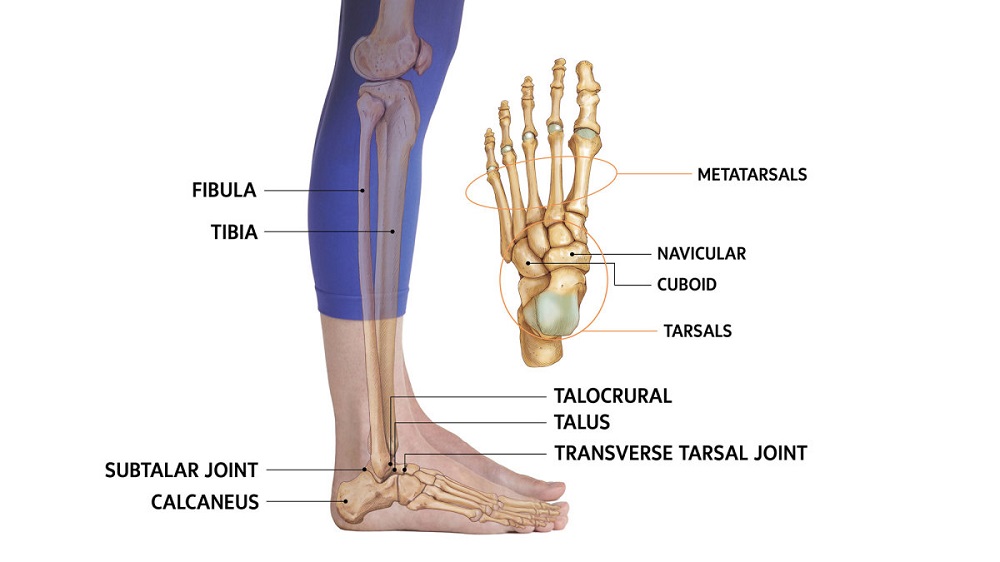 Know About AnkleJoint Injury
