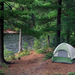 How Do You Stay Safe When Camping In The Wild?