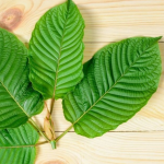 What Are Various Kratom Effects By Color?