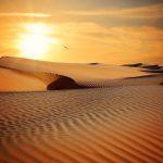 Experiencing the Dubai Desert Safari