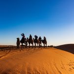 All You Need to Know About Evening Desert Safari Dubai