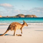 Things You Can Do With Your Family In Australia
