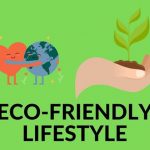 How To Switch To An Eco-Friendly Lifestyle?