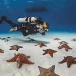 Dive Safer: 101 Tips To Help You Become A Scuba Dive Pro