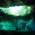 An unforgettable diving experience in Playa Del Carmen