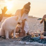 Five Best Travel Destinations For People With Pets