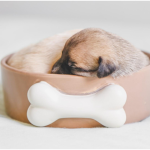 <a></a><strong>The Perfect Bed for Your Dog: Custom Luxury Dog Beds</strong>