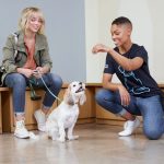 How to find the best dog training club for your dog?