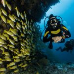 Best Destinations for Scuba Diving