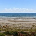 How Is Amelia Island Best Place To Spend Your Vacation Time?