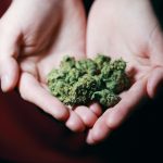 <strong>Why should you discuss about marijuana with your kids?</strong>