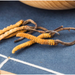 <a></a><strong>Your Ultimate Guide To Cordyceps Mushroom Benefits</strong>