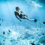 <a></a>The Ultimate Guide to Whale Watching and Snorkeling in Maui