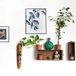 How To Decorate Your Home With Houseplants