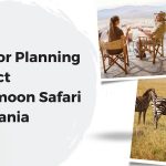3 Tips for Planning a Perfect Honeymoon Safari in Tanzania 