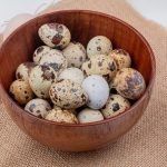 Why Should You Buy Jumbo Coturnix Quail Hatching Eggs Online