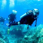 Madi’s Tour: An Underwater Adventure through Bali’s Best Dive Sites