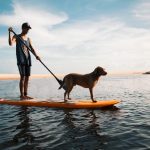 Planning the Ultimate Getaway for You and Your Furry Friend