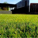Six Tips For Artificial Grass Care And Maintenance