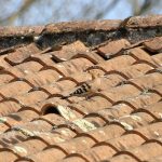 From Shingles to Metal: Exploring Common Roofing Materials