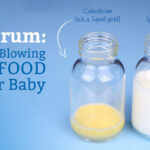 Why Is It Vital To Do Colostrum Collection?