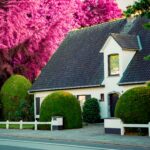 Enhancing Curb Appeal: Top 10 Exterior Home Upgrades You Should Consider