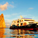 Experiencing the Extravagance: Galapagos Luxury Tours