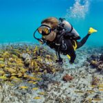 Discover the Hidden Underwater Wonders: A Diver’s Paradise