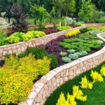 How to Choose the Right Plants for Your Fort Worth Landscape