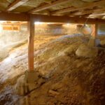 Secrets to a Healthier Home: Importance of Crawl Space Cleanup