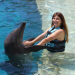 Swim with Dolphins in Cancun: A Unique Experience with Dolphin Connection