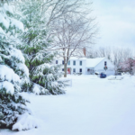 Essential Steps To Survive The Winter: A Guide For Homeowners