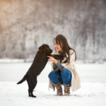 Winter Travel With Dogs: Keeping Your Pet Warm And Happy