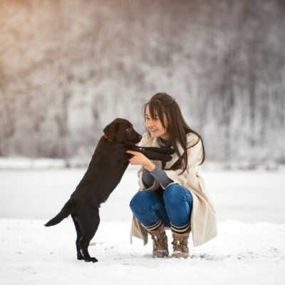 Winter Travel with Dogs: Keeping Your Pet Warm and Happy