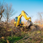 Uncover The Benefits Of Professional Land Clearing Services