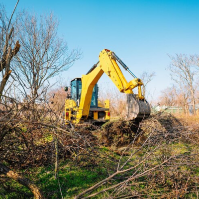 Uncover the Benefits of Professional Land Clearing Services