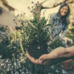 6 Ways to Breathe Life Into Your Garden in 2025